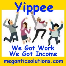 Business Opportunity Webinar MeganticSolutions.Com