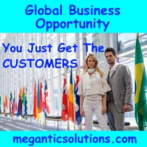 Earn Money Business Opportunity meganticsolutions.com