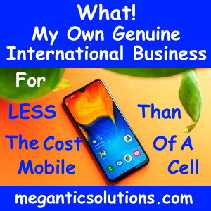 Earn Money Business Opportunity Mobile Image meganticsolutions.com 300x300
